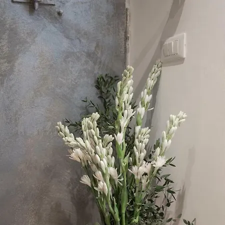 Frankie Charme Διαμέρισμα